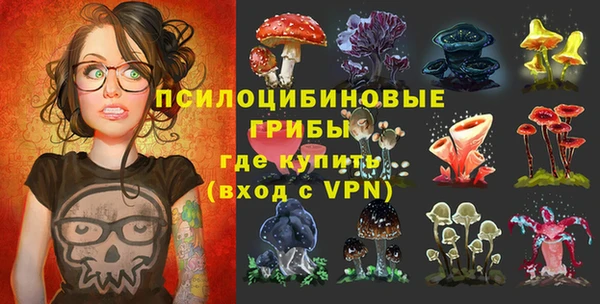 альфа пвп Краснослободск