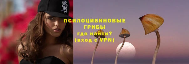 альфа пвп Краснослободск