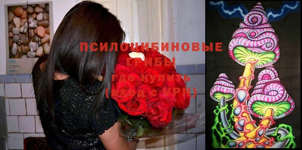 прущая мука Кукмор