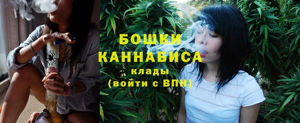 альфа пвп Краснослободск