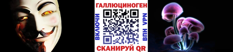 Псилоцибиновые грибы Psilocybine cubensis  Михайловка 