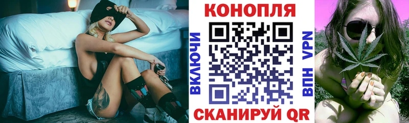 Бошки марихуана White Widow  магазин продажи наркотиков  Михайловка 